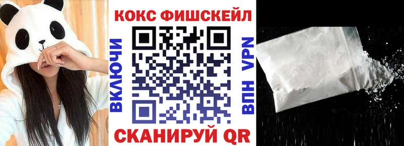 Cocaine Fish Scale  кракен маркетплейс  Омутнинск 