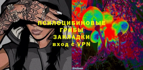 гидра Алексеевка