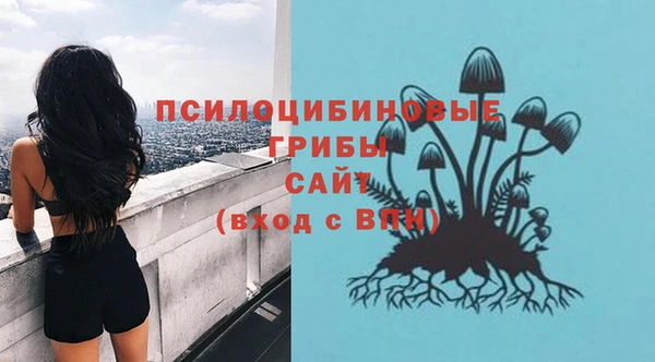 mdpv Алзамай