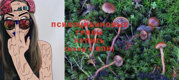 mdpv Алзамай