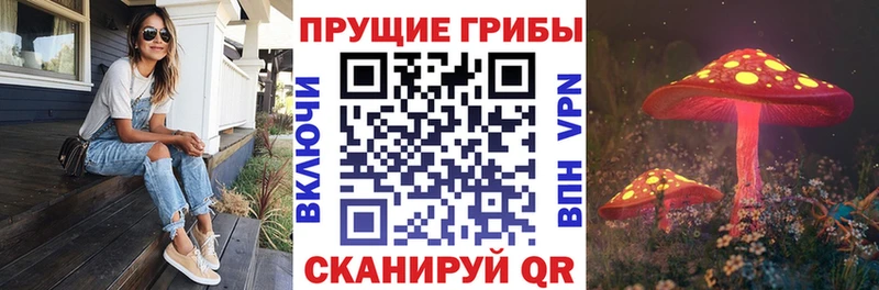 Псилоцибиновые грибы Psilocybine cubensis  нарко площадка формула  hydra как зайти  Омутнинск  купить наркотики сайты 